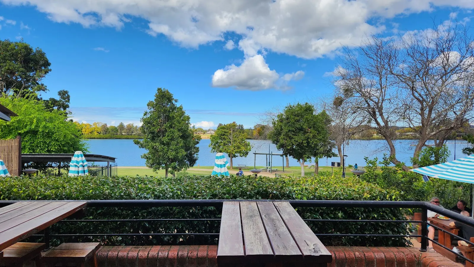 Timber tables on the deck, looking over a hedge and parkland to the Manning River